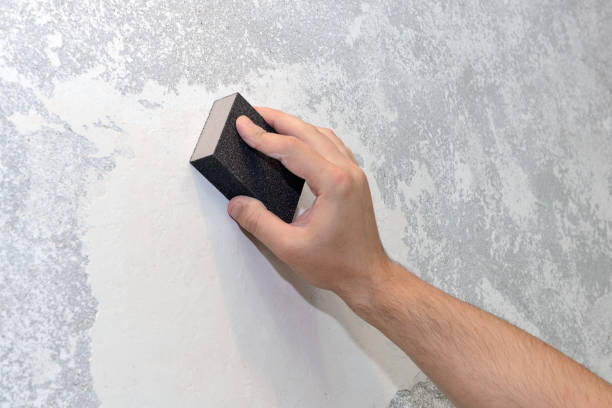 Best Attic Mold Removal  in Hopkins, MN