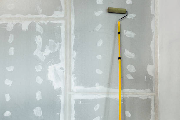 Mold Remediation for Rental Properties in Hopkins, MN
