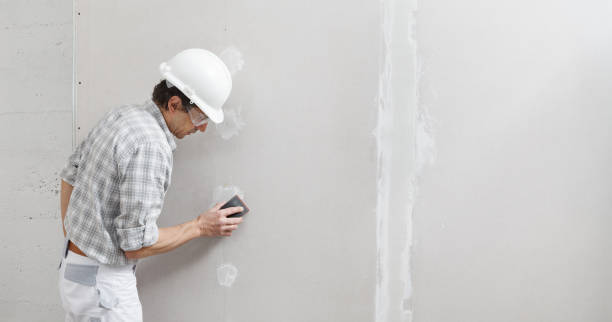 Best Mold-Related Health Consultation  in Hopkins, MN