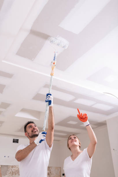 Best Mold Damage Restoration  in Hopkins, MN