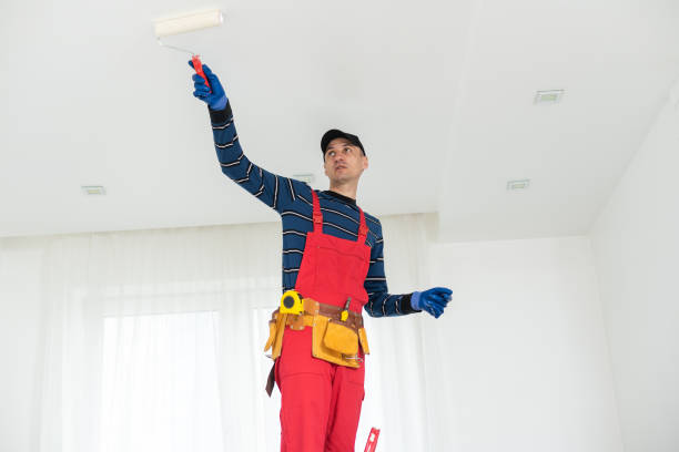 Best HVAC Mold Inspection and Cleaning  in Hopkins, MN
