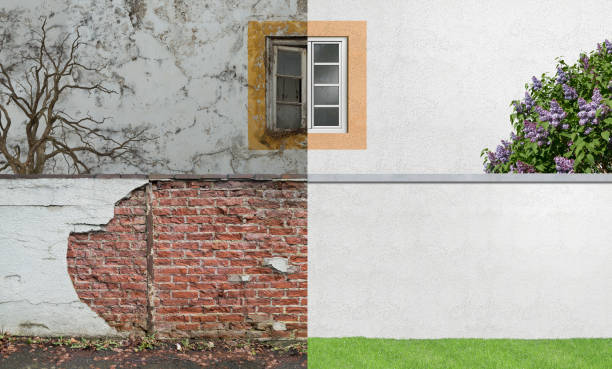 Best Mold Documentation for Insurance Claims  in Hopkins, MN