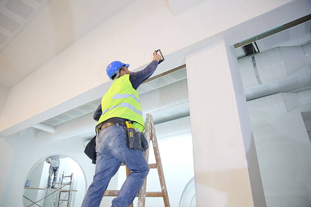 Best Air Quality Testing for Mold Spores  in Hopkins, MN