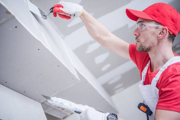Best Attic Mold Removal  in Hopkins, MN